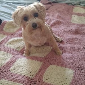 Meet your Posher, Joy